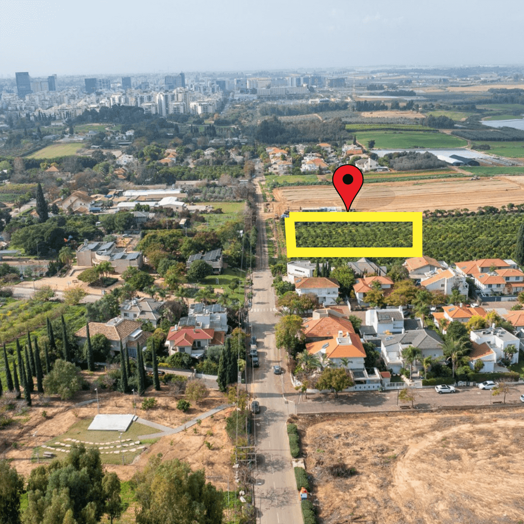 הדמיה להמחשה בלבד